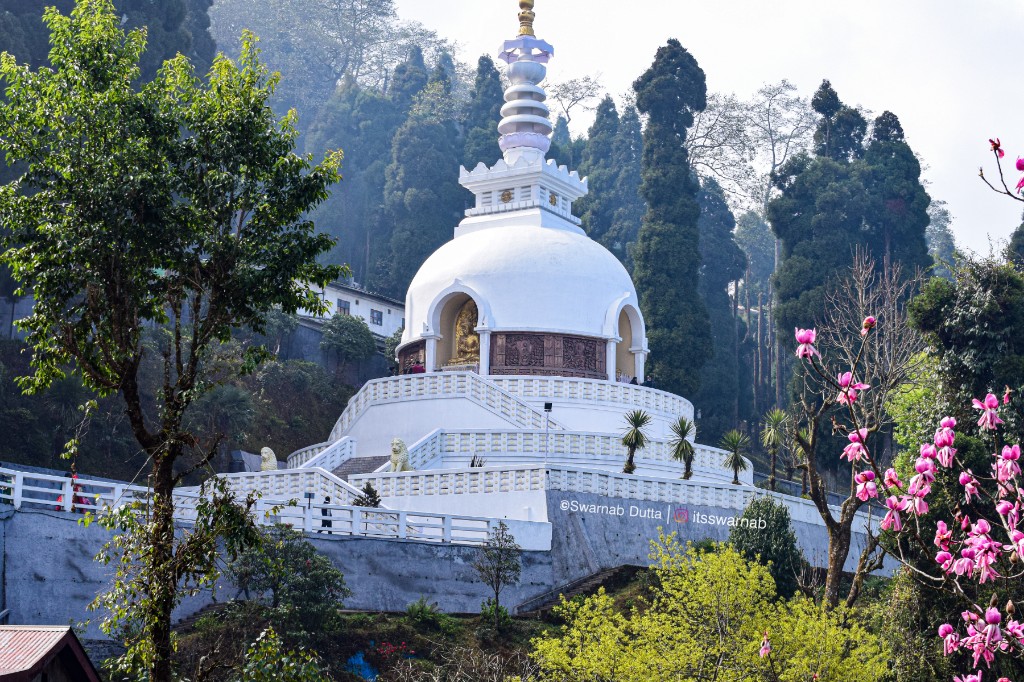darjeeling tourist places details