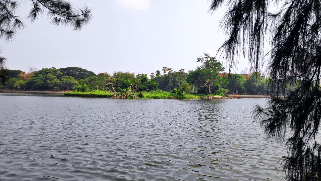 Rabindra Sarobar Lake Dhakuria (Kolkata) - 7 Points To Know